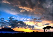 Loren Verdi's Online Memorial Photo